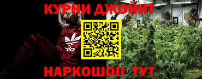 2c-b Камышлов