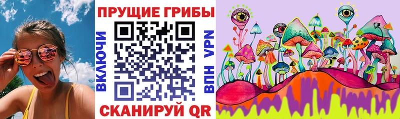 Псилоцибиновые грибы Psilocybine cubensis  omg   Кропоткин 