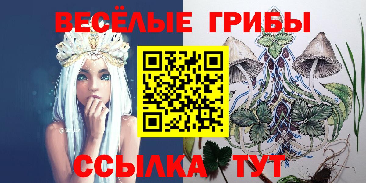 Псилоцибиновые грибы GOLDEN TEACHER Кропоткин